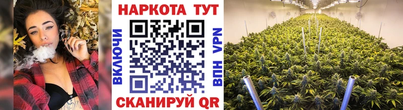 Как найти наркотики Ступино omg как зайти  Cocaine  Гашиш  Экстази  A-PVP  Канабис  АМФ 