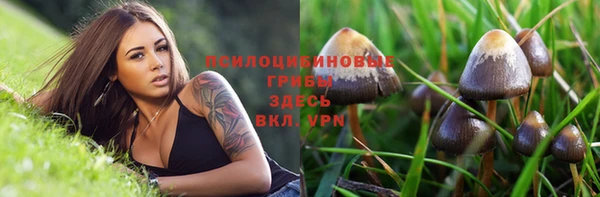 герыч Абаза