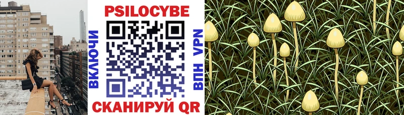 продажа наркотиков  Ступино  Галлюциногенные грибы Cubensis 