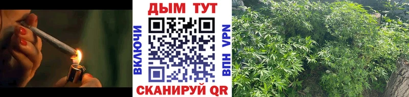 закладки  Ступино  Шишки марихуана конопля 
